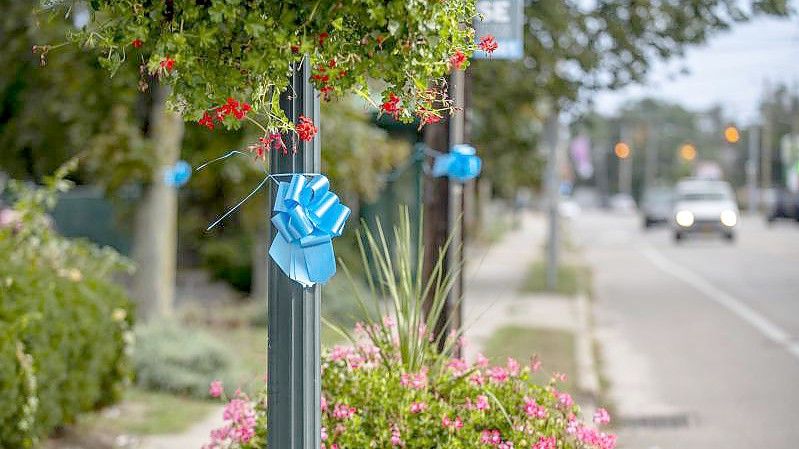 Blaue Schleifen hängen zum Gedenken an Gabby Petito in ihrer Heimatstadt Blue Point. Foto: Brittainy Newman/FR171797 AP/dpa