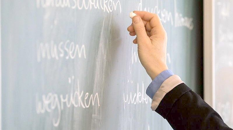 Der Schulpädagogik-Professor Norbert Seibert hält über 40 Prozent der Lehrer für ungeeignet. Verantwortlich dafür ist aus seiner Sicht auch eine mangelhafte Lehrerausbildung. Foto: Mohssen Assanimoghaddam/dpa