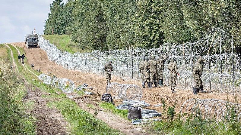 Polnische Soldaten errichten einen Stacheldrahtzaun Grenze zu Belarus (Archiv). Foto: Attila Husejnow/SOPA Images via ZUMA Press Wire/dpa
