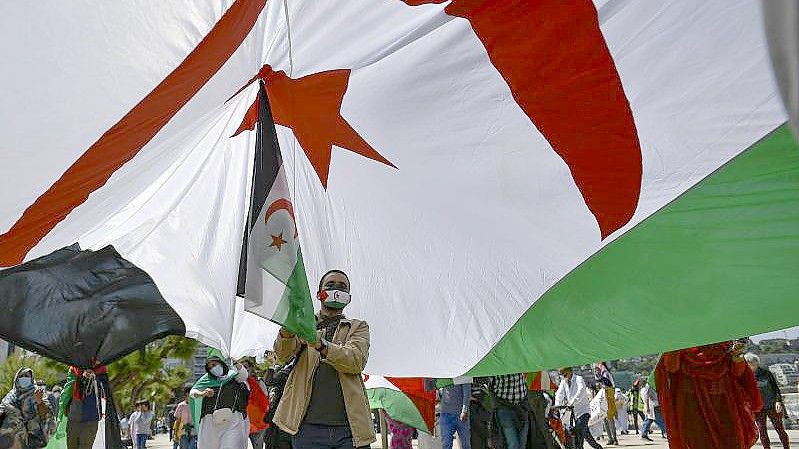 Ein saharischer Demonstrant hält eine Fahne der Republik Sahara. Symbolbild. Foto: Alvaro Barrientos/AP/dpa