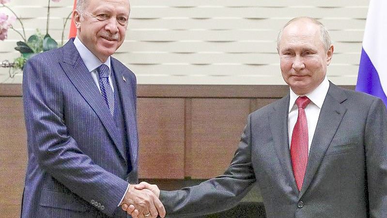 Handschlag: Wladimir Putin (r) und Recep Tayyip Erdogan in der russischen Staatsresidenz Bocharov Ruchey. Foto: Vladimir Smirnov/Pool Sputnik Kremlin/AP/dpa