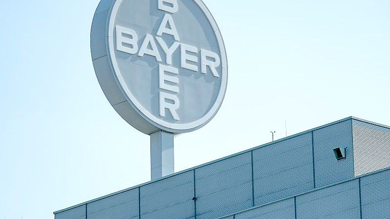 Bayer hat sich nach eigenen Angaben in einem Glyphosat-Prozess in Los Angeles durchgesetzt. Foto: Hendrik Schmidt/dpa-Zentralbild/dpa
