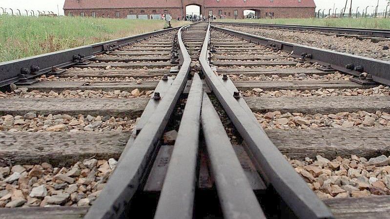 Neun hölzerne Baracken in der NS-Gedenkstätte Auschwitz-Birkenau sind mit Parolen auf Englisch und Deutsch besprüht worden. (Archivbild). Foto: Jens Kalaene/dpa-Zentralbild/dpa