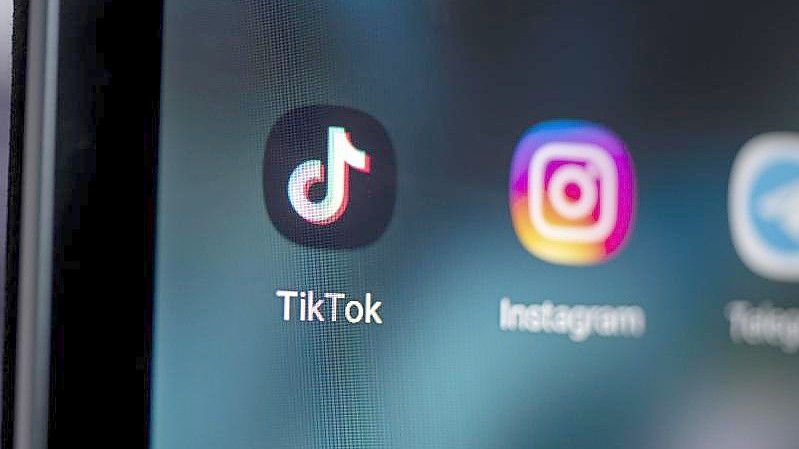 Auf dem Bildschirm eines Smartphones sieht man die Logos der Apps TikTok und Instagram. Foto: Fabian Sommer/dpa