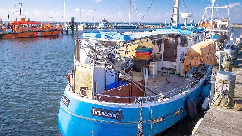 Dezimierte Fischbestände und sinkende Fangmengen verschärfen die Lage bei den deutschen Ostseefischern. Foto: Jens Büttner/dpa-Zentralbild/dpa