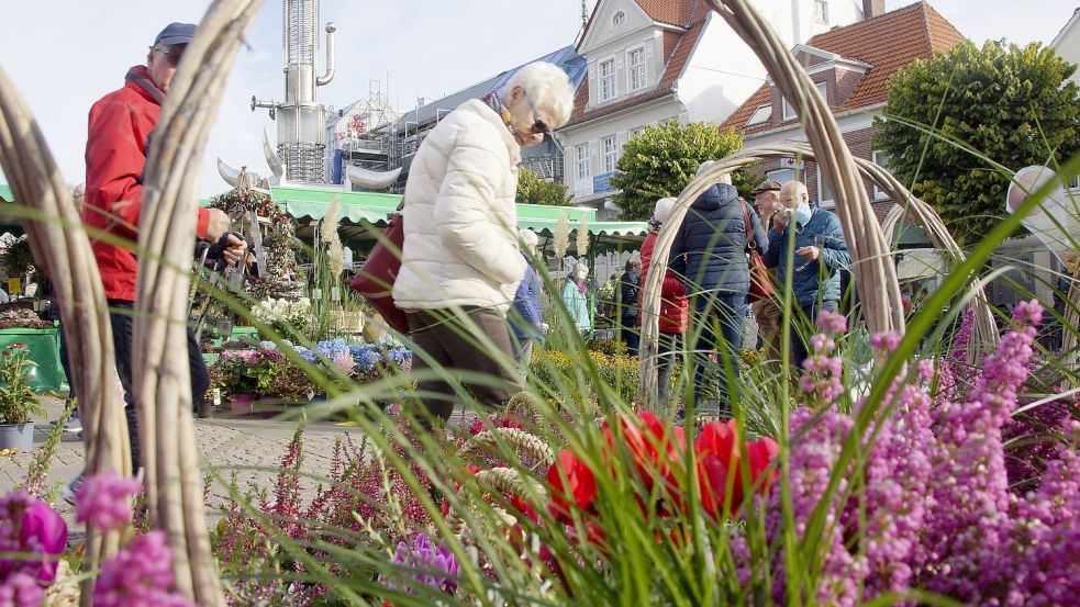 Herbstlich dekorierte Pflanzkörbe werden auf dem Heidemarkt unter anderem angeboten. Foto: Holger Janssen