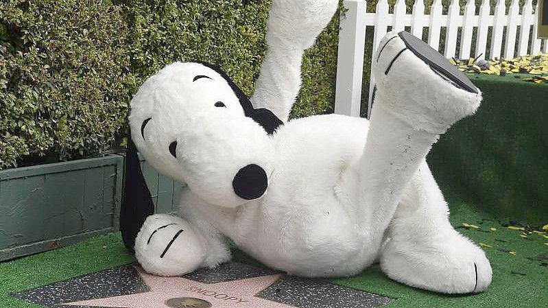 Ein plüschiger Snoopy liegt neben seinem Stern auf dem Hollywood Walk of Fame in Los Angeles. Foto: Mike Nelson/EPA/dpa