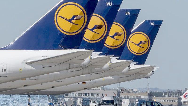 Passagiermaschinen der Lufthansa stehen auf dem Rollfeld des Flughafens Frankfurt. Foto: Boris Roessler/dpa