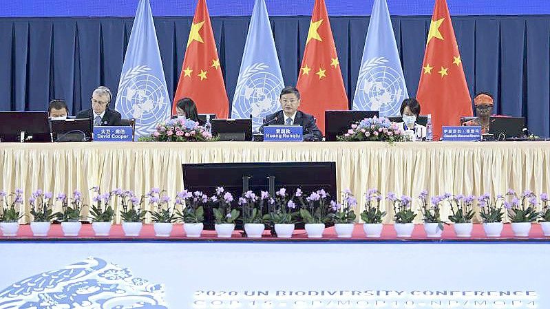 Die 15. UN-Weltnaturschutzkonferenz findet im chinesischen Kunming statt. Foto: Chen Yehua/XinHua/dpa