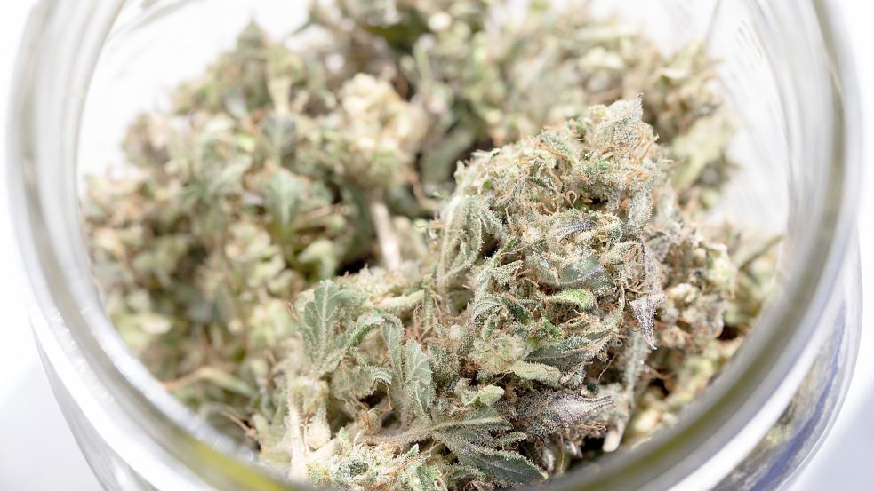 Die Legalisierung von Cannabis ist derzeit Gesprächsthema. Foto: DPA
