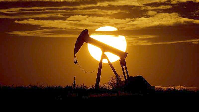 Die Ölpreise legen seit acht Wochen tendenziell zu. Foto: Eric Gay/AP/dpa
