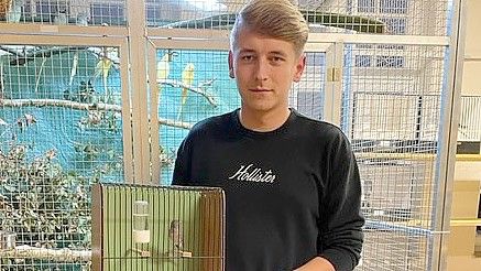 Fachgruppenleiter Exoten Florian Kruse brachte am Donnerstagabend einen seiner Kanarienvögel der Rasse Irish Fancy in die alte Schule.Foto: privat