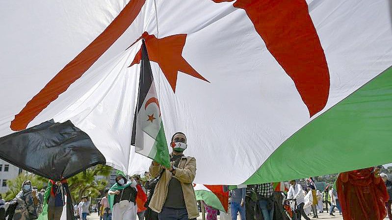 Ein saharischer Demonstrant hält eine Fahne der Republik Sahara. Symbolbild. Foto: Alvaro Barrientos/AP/dpa