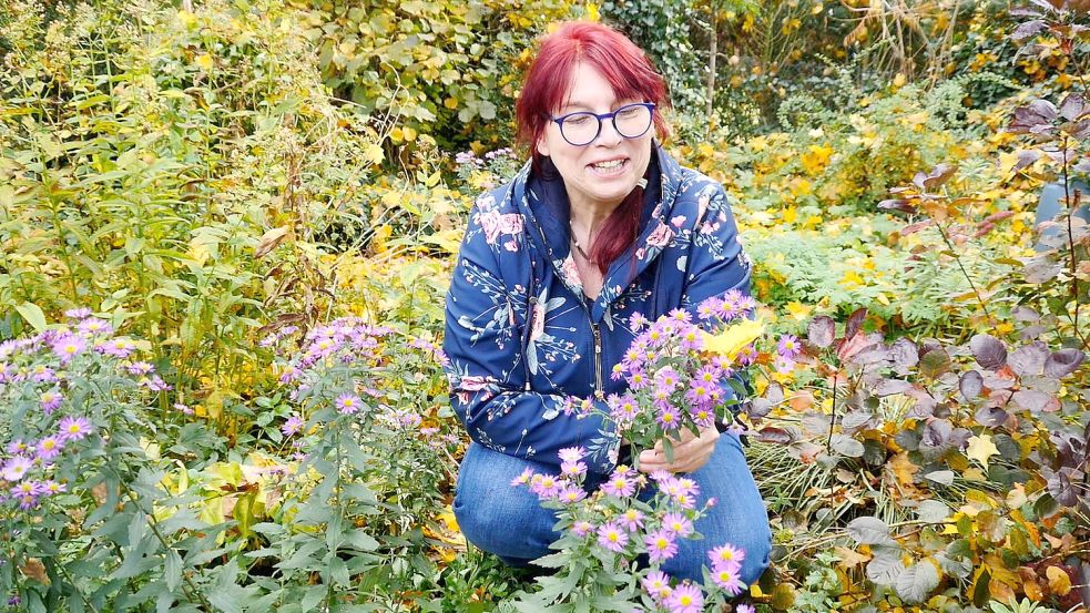 Karin Berends-Lüürßen stellt im Video unter anderem die Asiatische Wildaster vor. Foto: Lisa Ulferts