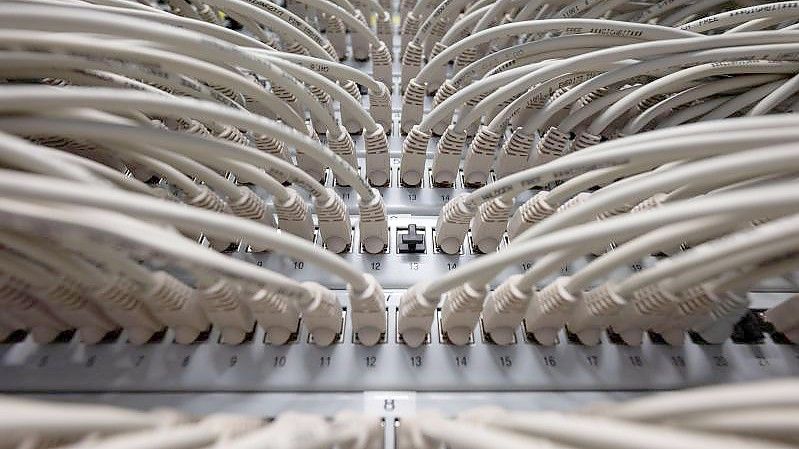 Netzwerkkabel in einem Höchstleistungsrechenzentrum. Die Mehrheit der Menschen in Deutschland erwartet von einer künftigen Ampelkoalition keine wirksamen Fortschritte bei der Digitalisierung der öffentlichen Verwaltung in Deutschland. Foto: Marijan Murat/dpa