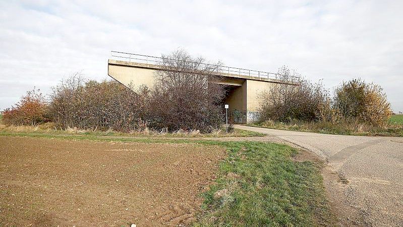 Eine ungenutzte Brücke für eine nicht fertiggestellte Straße steht am Rande eines Feldes in Euskirchen - von Bäumen umwachsen. Der Bund der Steuerzahler stellt das Schwarzbuch 2021/22 vor. Foto: Oliver Berg/dpa