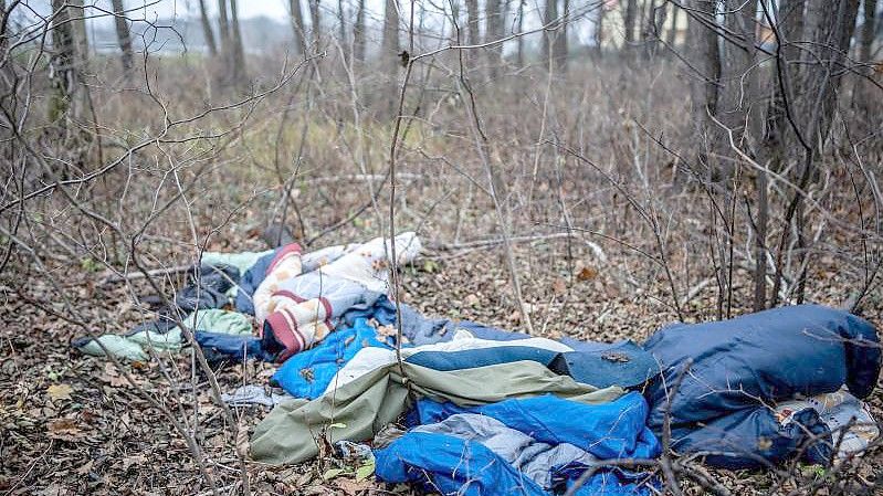Decken und Schlafsäcke liegen im Wald an der Grenze zwischen Polen und Belarus. Foto: Michael Kappeler/dpa