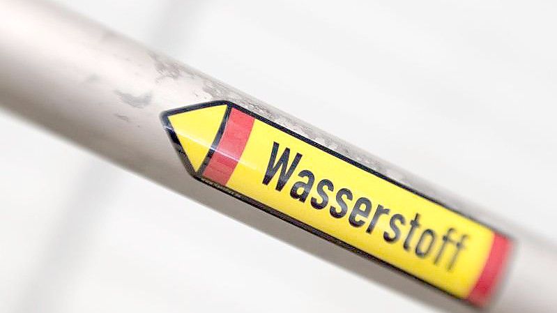 Neue Wasserstoff-Technologie sollen mit EU-Geldern gefördert werden. Foto: Friso Gentsch/dpa