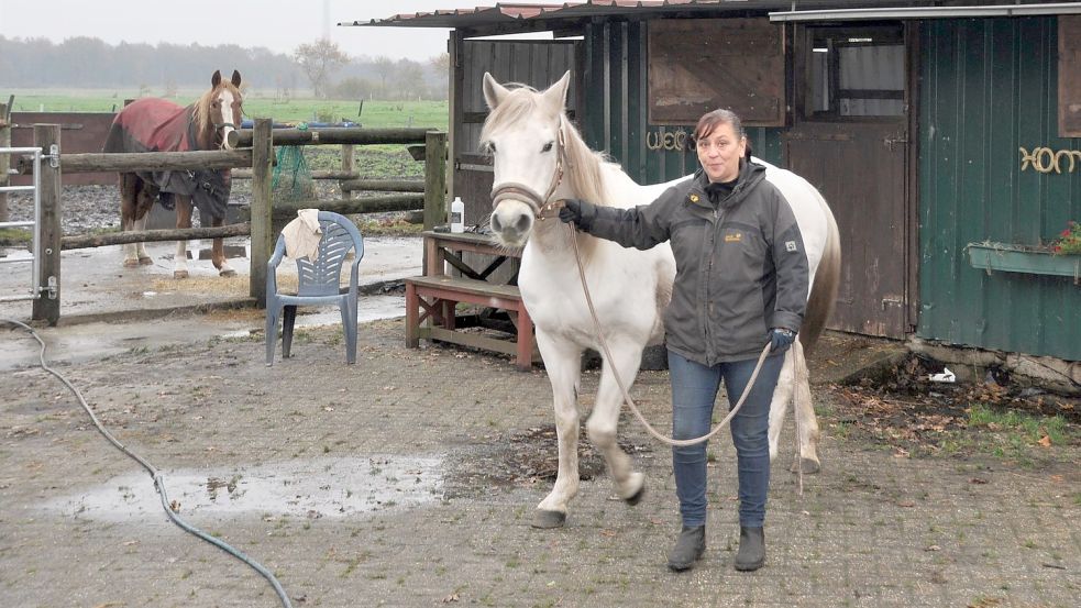 Nadine Oehlbach kümmert sich auf dem „Hof der Herzen“ um kranke und misshandelte Pferde. Stute Sheila war völlig abgemagert, als sie vor sechs Wochen als Kurpferd zu ihr kam. Foto: Kim Hüsing
