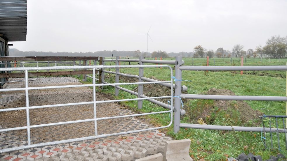 Ehepaar Oehlbach hat gerade neue Paddocks für die Pferde angelegt. Jetzt flatterte nach elf Jahren unerwartet die Kündigung des Hofes ins Haus. Foto: Kim Hüsing