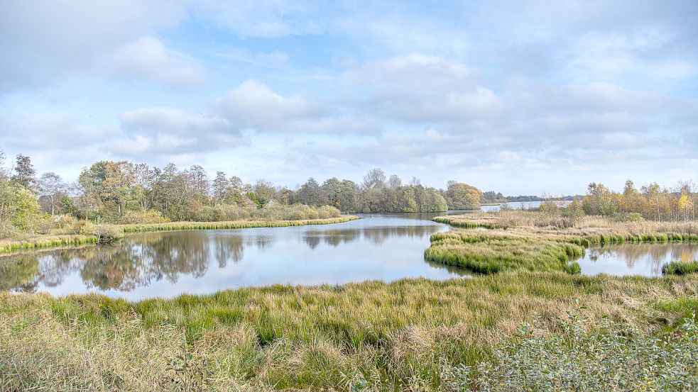 Durch ein großes Loch lief Wasser aus dem Sandwater. Der Wasserstand sank um mehrere Dezimeter. Foto: Kreis Aurich