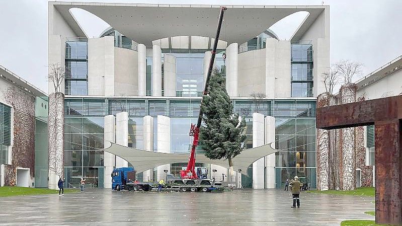 Es wird weihnachtlich: Mit Hilfe eines Tiefladers wird eine Colorado-Tanne am Bundeskanzleramt aufgestellt. Foto: Paul Zinken/dpa