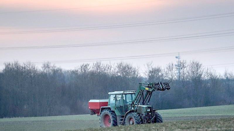 Die Agrar-Gelder gehören zu den größten Posten im EU-Budget. Foto: Federico Gambarini/dpa