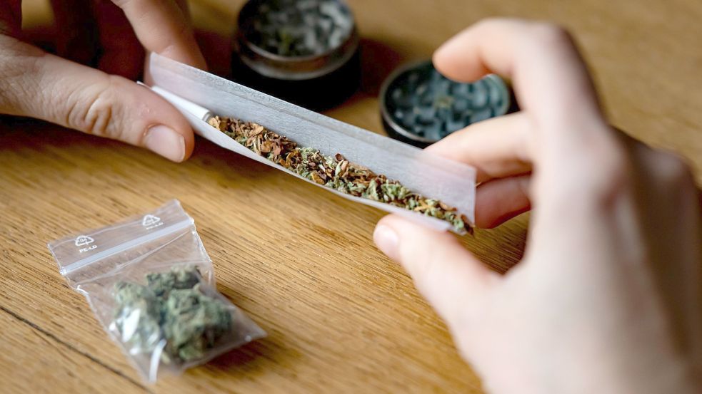 Die Ampel-Parteien wollen Cannabis für den Genuss legalisieren. Doch noch ist der Schwarzmarkt im Vorteil. Foto: Fabian Sommer/dpa