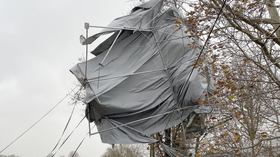 Das Zelt blieb in einem Baum hängen. Foto: Feuerwehr