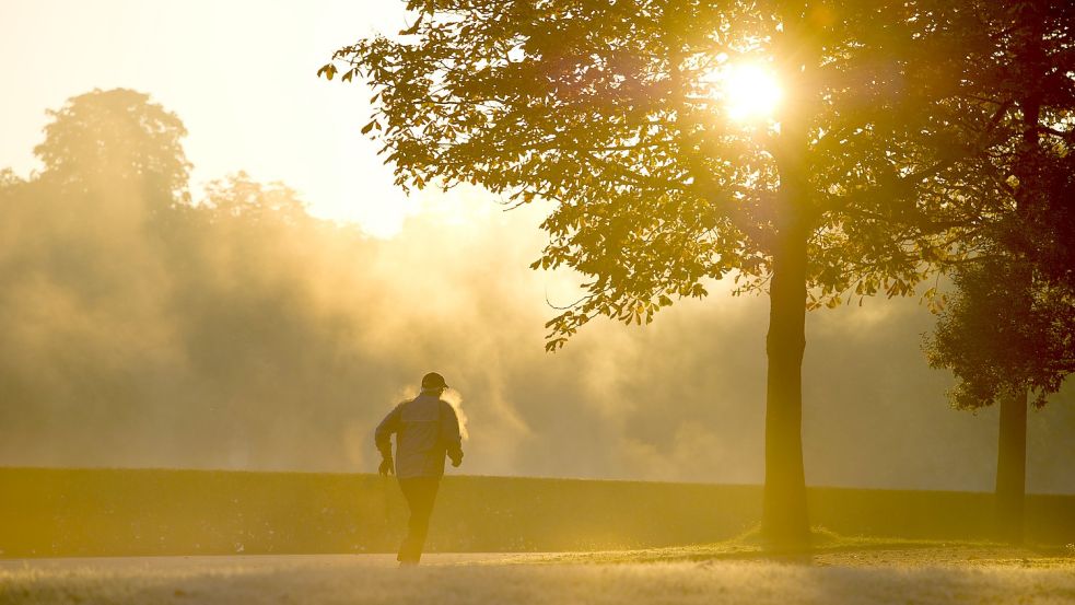 Ab dem 19. Dezember können die Kilometer gesammelt werden. im vergangenen Jahr schlugen die Ostfriesen die Schwaben.Foto: DPA