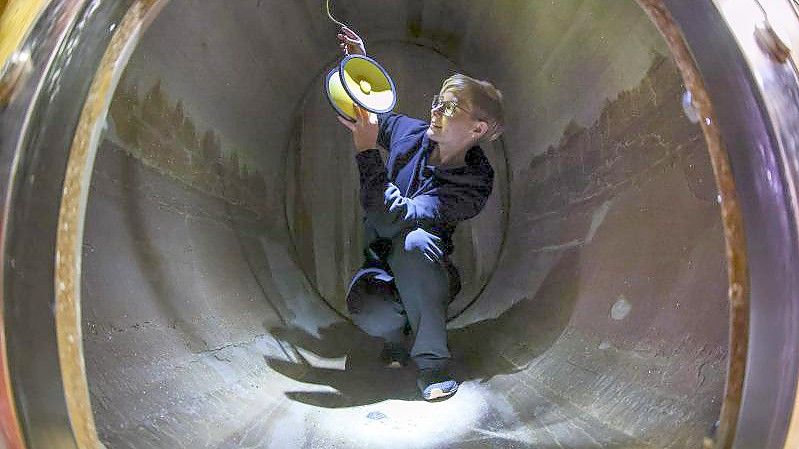 Kellermeisterin Kathleen Romberg installiert einen Unterweinlautsprecher in einem Eichenholzfass in der Winzervereinigung Freyburg. Foto: Jan Woitas/dpa-Zentralbild/dpa