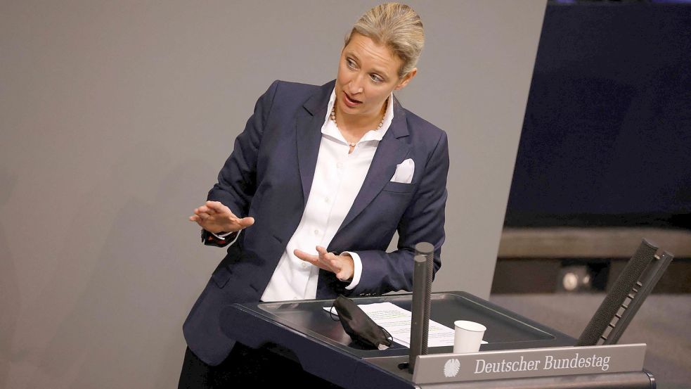 AfD-Fraktionschefin Alice Weidel. Foto: ODD ANDERSEN / AFP