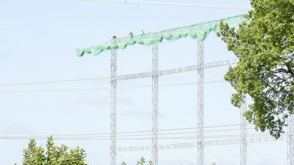 Ein Schutzgerüst wird aufgebaut. Foto: Tennet