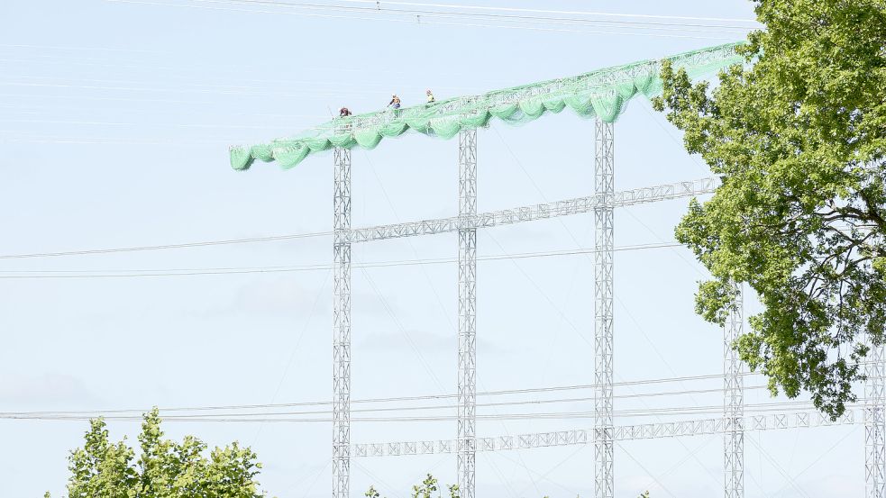 Ein Schutzgerüst wird aufgebaut. Foto: Tennet