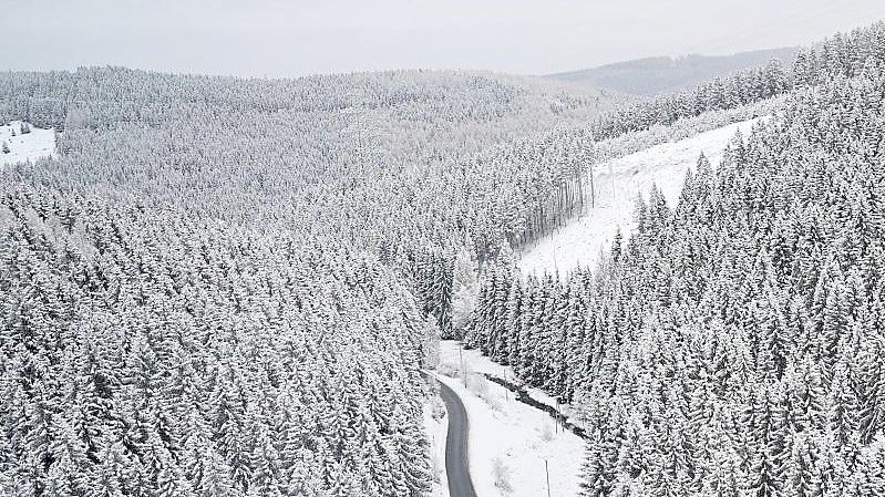 Der Thüringer Wald im Winterkleid (am 9.12.). Foto: Martin Schutt/dpa-Zentralbild/dpa