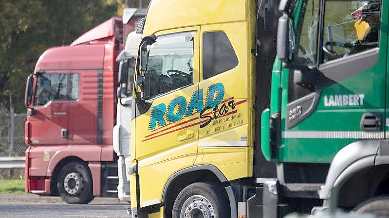 Angesichts des Mangels an Lkw-Fahrern warnt die Logistikbranche vor einer vorschnellen Einführung einer allgemeinen Impfpflicht in Deutschland. Foto: Boris Roessler/dpa