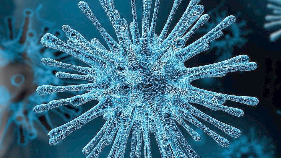 Das Coronavirus. Foto: Pixabay