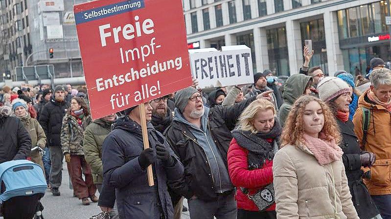 Ein Demonstrationszug unter dem Motto „Das Maß ist voll. Hände weg von unseren Kindern“ in Hamburg. Foto: Georg Wendt/dpa