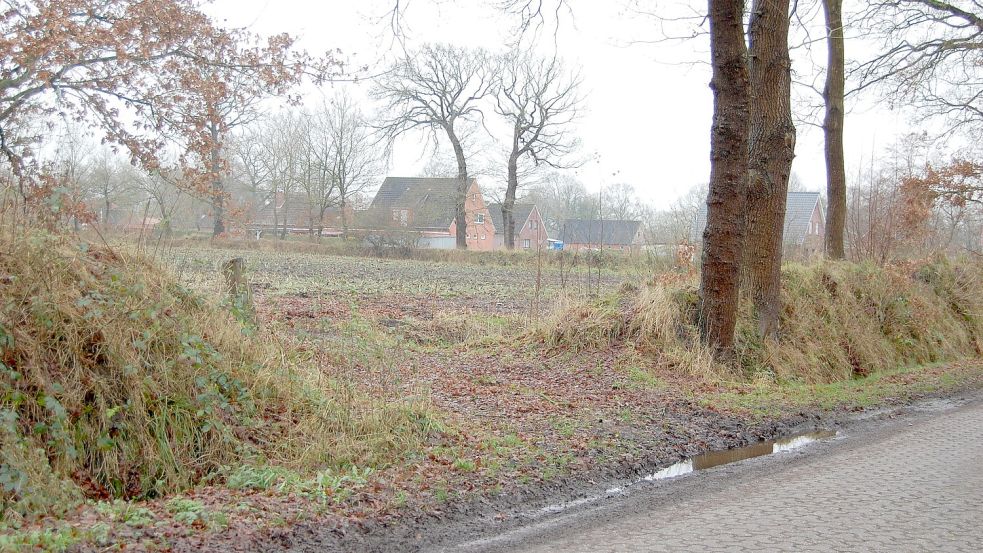 Südöstlich vom Jückweg in Akelsbarg sollen 13 Bauplätze entstehen. Foto: Imke Cirksena