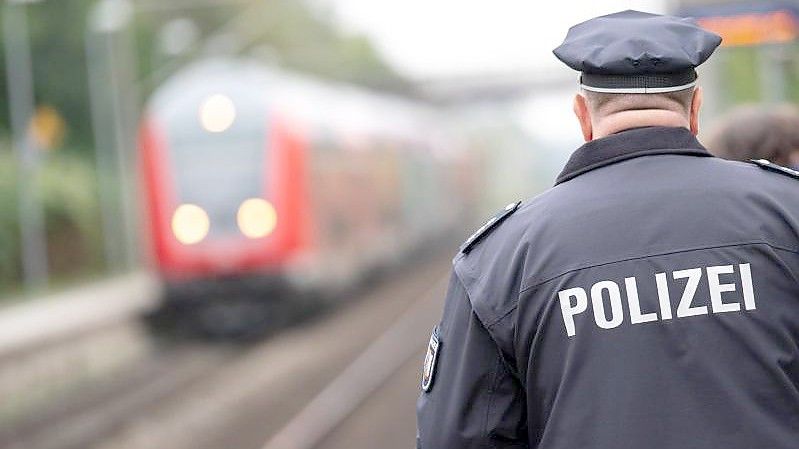 Die Polizei hat Hund Baldur nach seiner Zugfahrt wieder seinem Herrchen übergeben. Foto: Jonas Walzberg/dpa/Symbolbild