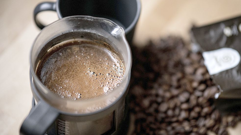 Frisch gebrühter Kaffee wird in einer French Press zubereitet. Foto: DPA
