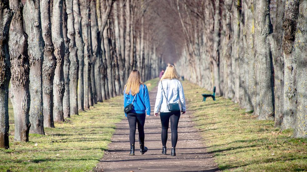 Zwei Frauen gehen in einer Allee spazieren. Foto: DPA