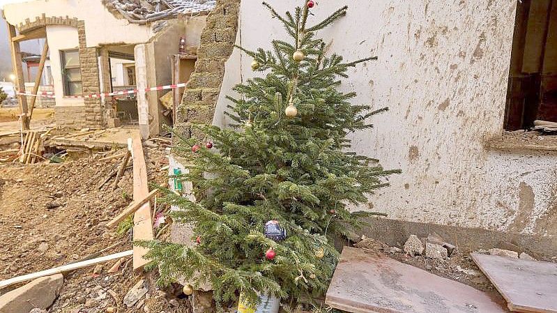 Ein Weihnachtsbaum steht vor einem von der Flut zerstörten Haus in Mayschoß. Foto: Thomas Frey/dpa
