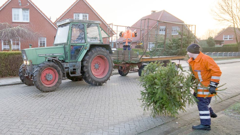 Die Brookmerlander Jugendfeuerwehren sammeln zu Jahresbeginn wieder Weihnachtsbäume ein. Archivfoto: Folkert Bents