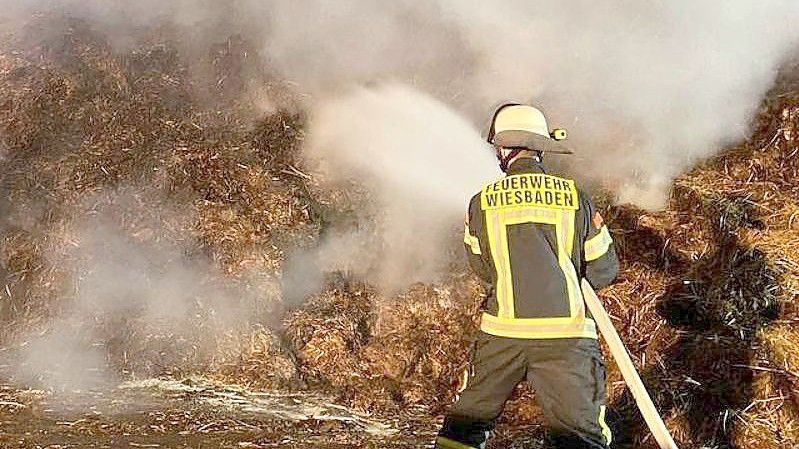 Die Feuerwehr löscht den rund 2500 Kubikmeter großen brennenden Misthaufen. Foto: --/Feuerwehr Wiesbaden/dpa