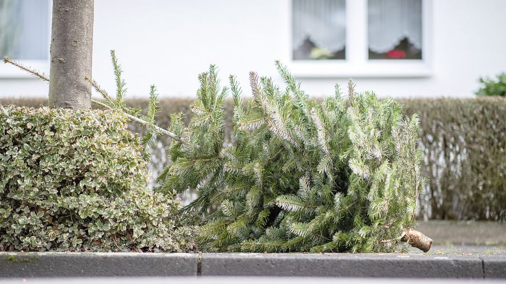 Ein ausgedienter Weihnachtsbaum liegt am Straßenrand. Foto: DPA