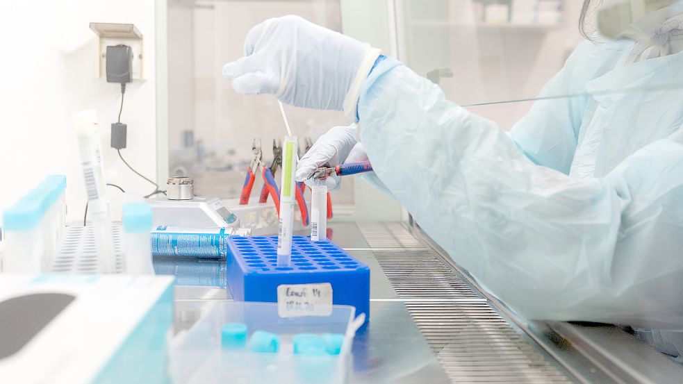 Eine Labormitarbeiterin bereitet Proben für einen PCR-Test vor. Mittels PCR-Corona-Test kann in einer Probe zuverlässig nachgewiesen werden, ob Erreger vorhanden sind. Foto: DPA