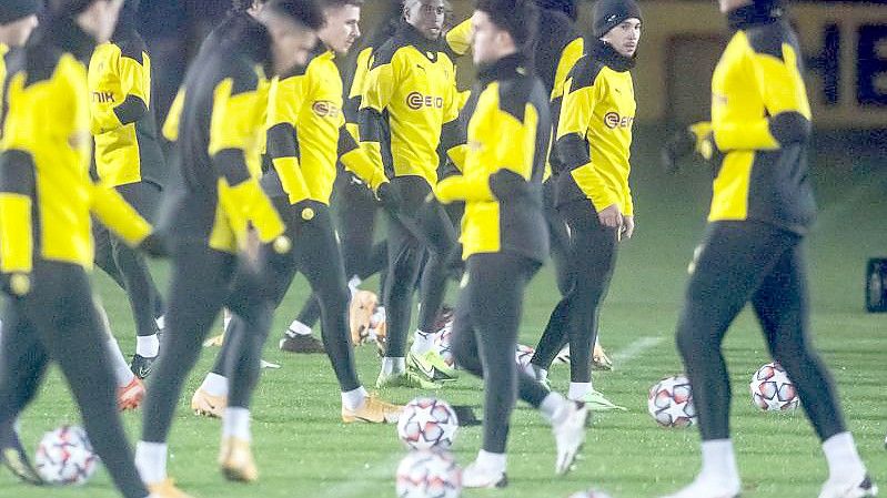 Der BVB startet mit neuem Schwung in die zweite Saisonhälfte. Foto: Bernd Thissen/dpa