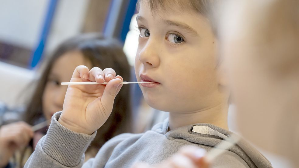 Statt mit Lollitests werden Kindergartenkinder von ihren Familien im Landkreis jetzt mit Nasenabstrichen auf das Coronavirus getestet. Foto: DPA