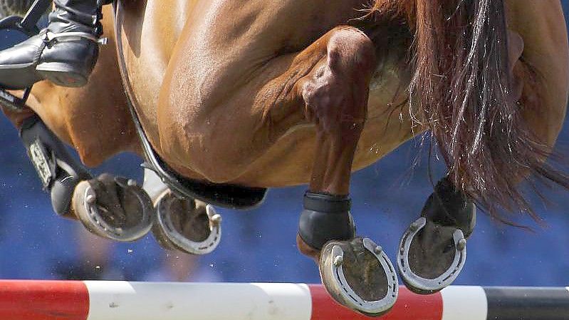 Dem Weltklasse-Springreiter Ludger Beerbaum wird Tierquälerei vorgeworfen. Foto: picture alliance / dpa